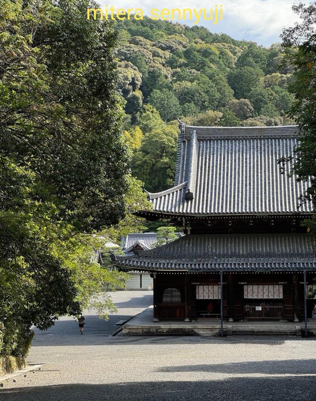 Walker House Kyoto 65 Square Meters Whole Villa Rent Bagian luar foto